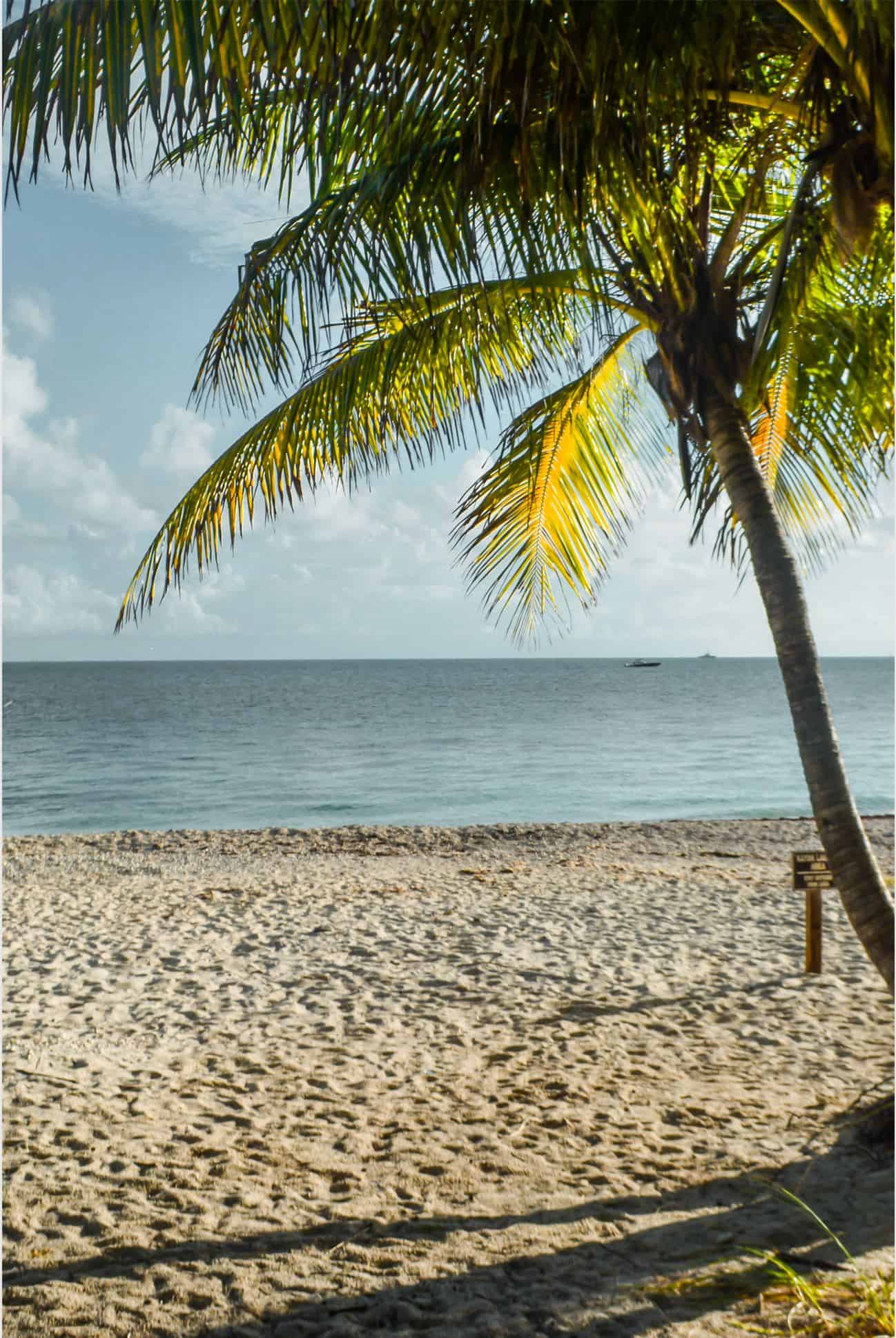 romantic activities in miami | best things to do in miami