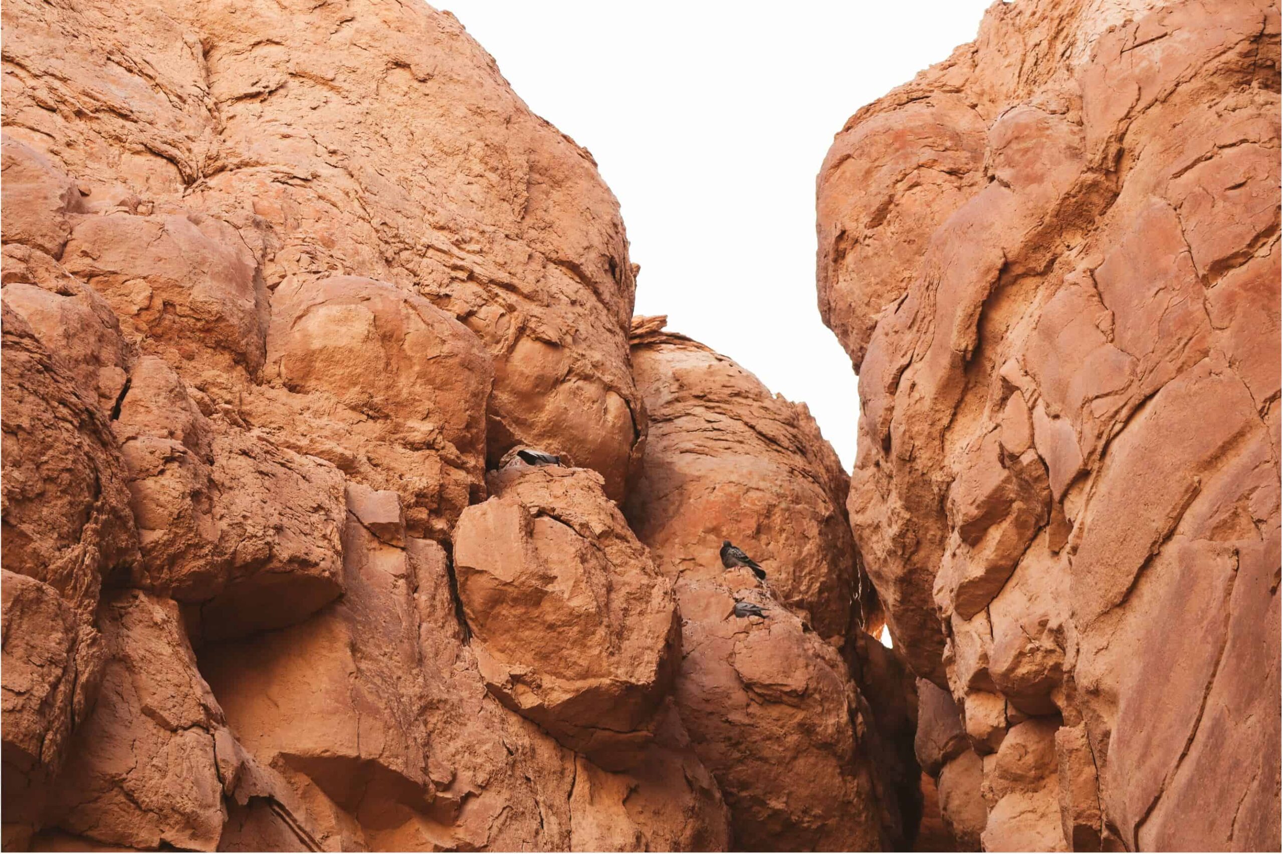 Visiting Al Qarah Mountain in Al Ahsa Saudi Arabia