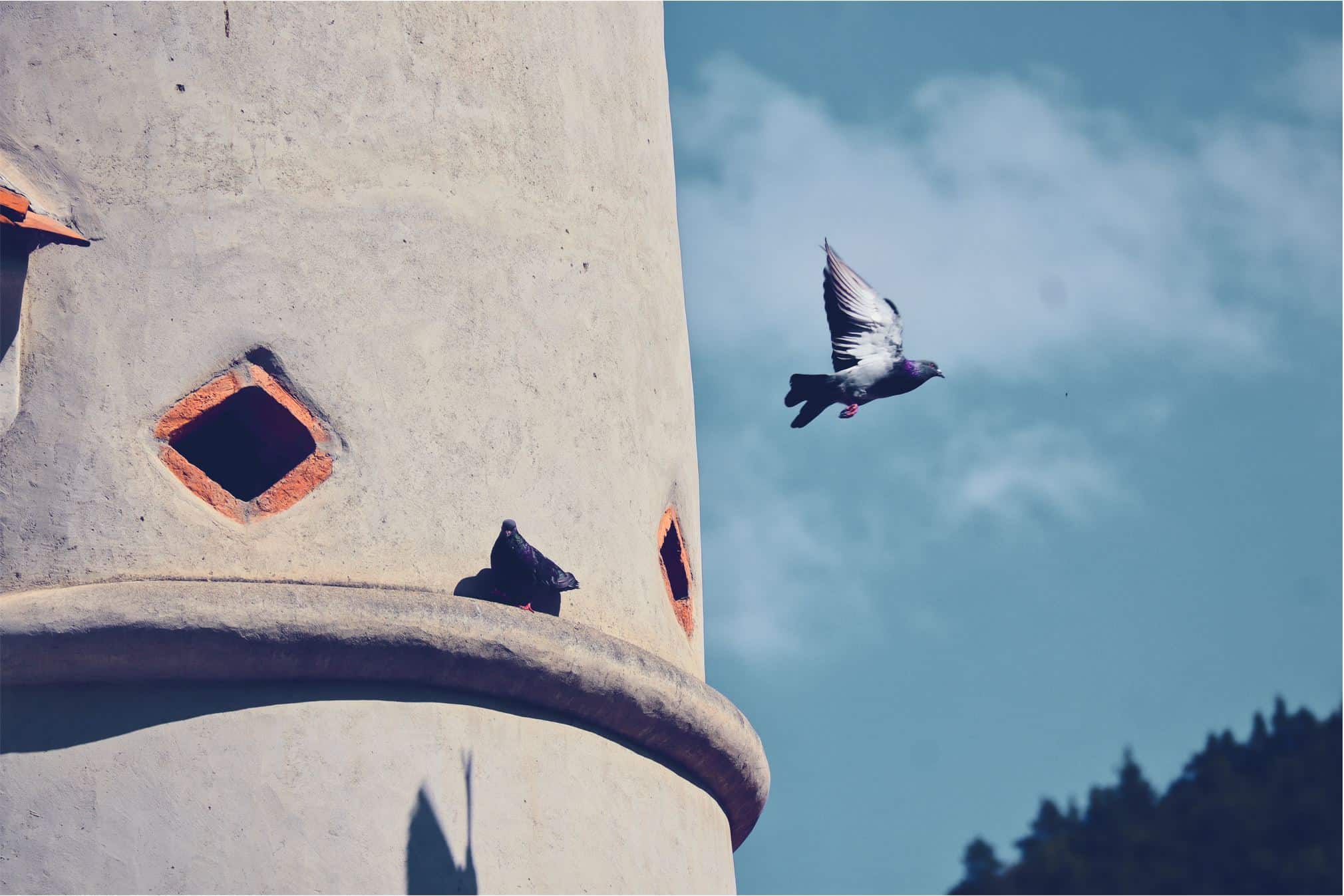 brasov travel guide | fun things to do in brasov | what to see in brasov