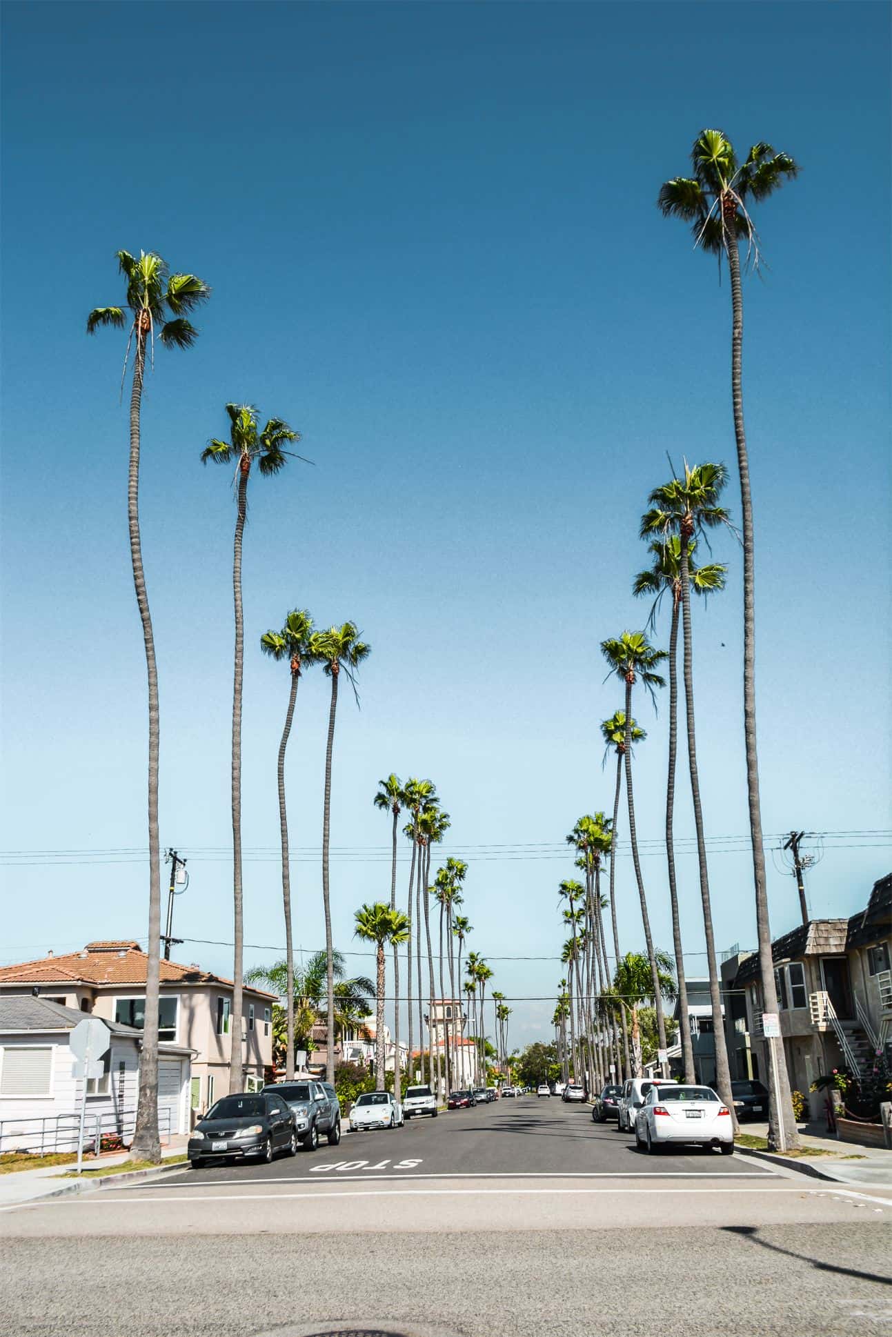 best stops on pacific coast highway | best places to visit on pch