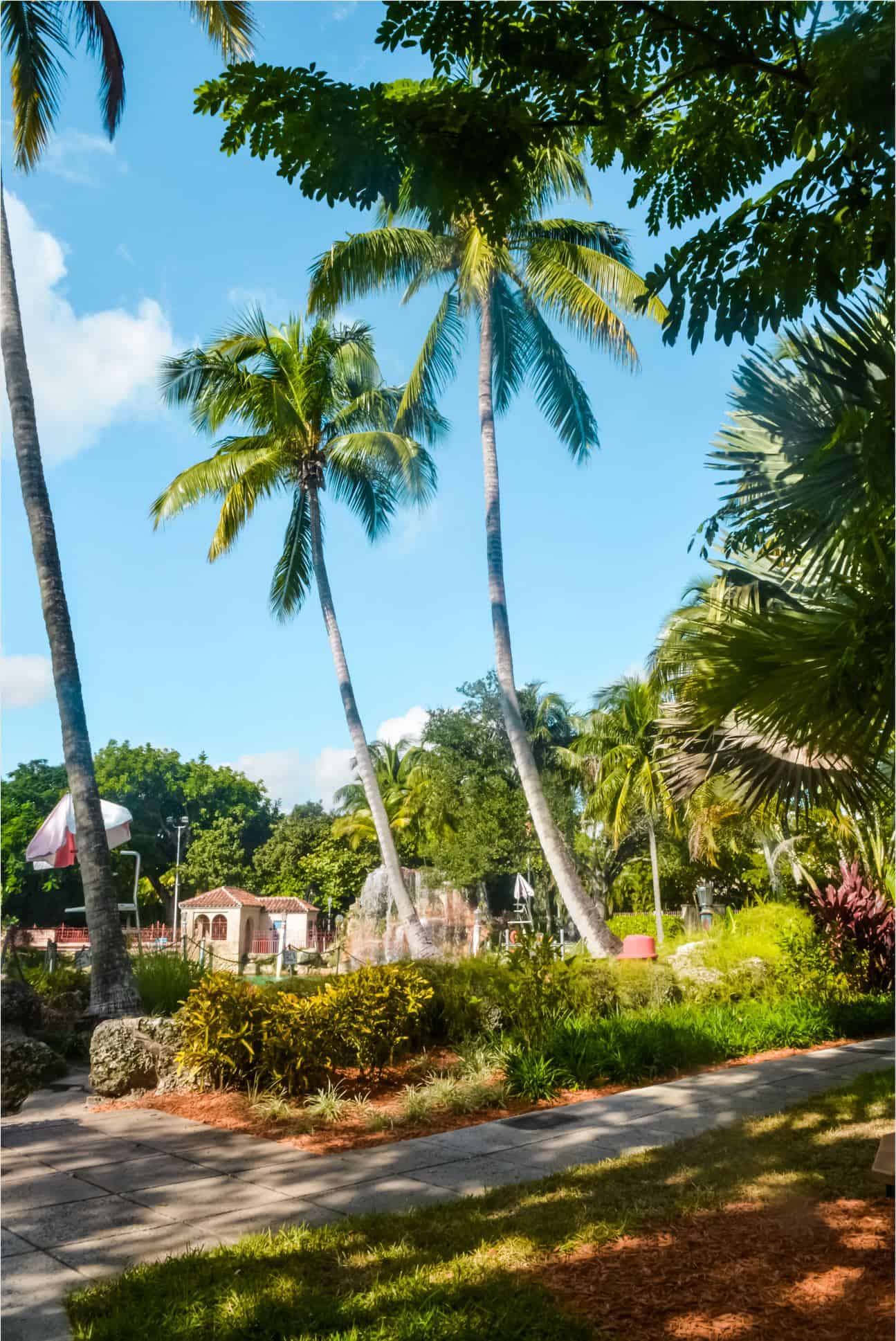 how to spend a day in miami | 24 hours in miami florida
