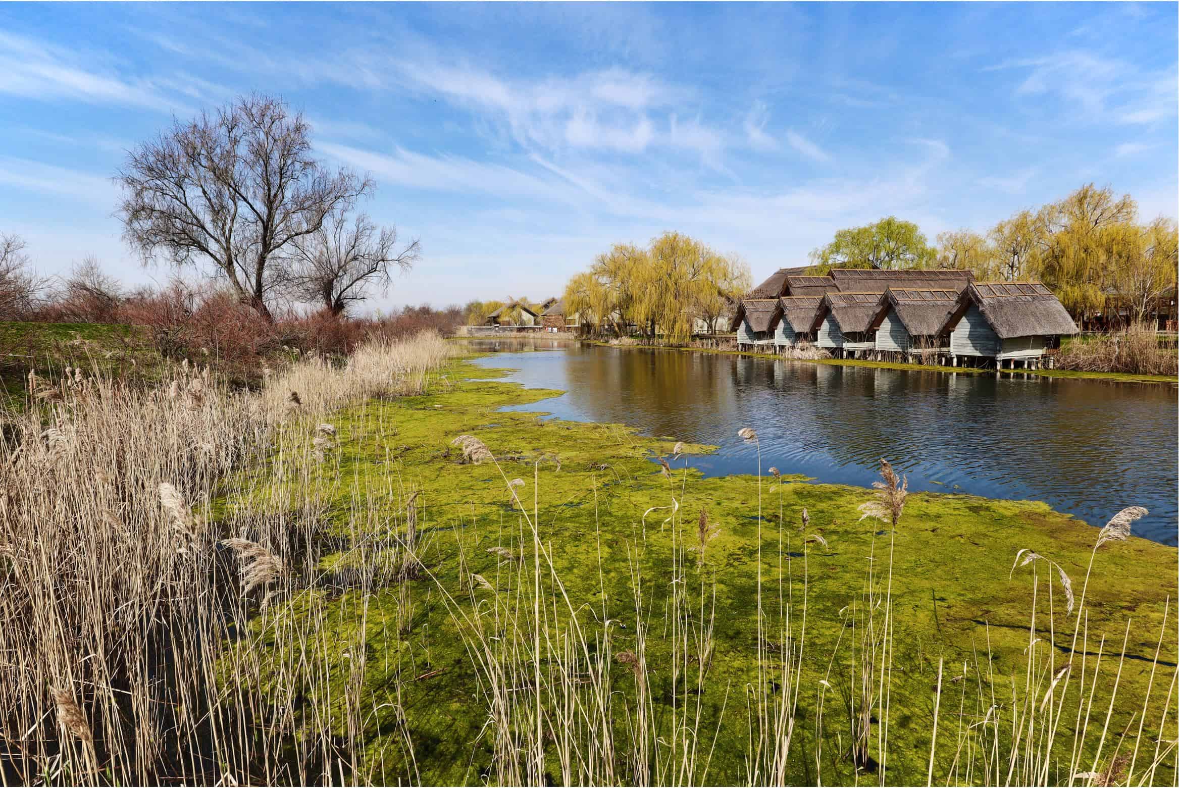 green village resort locuri de vizitat in delta dunarii sfantu gheorghe