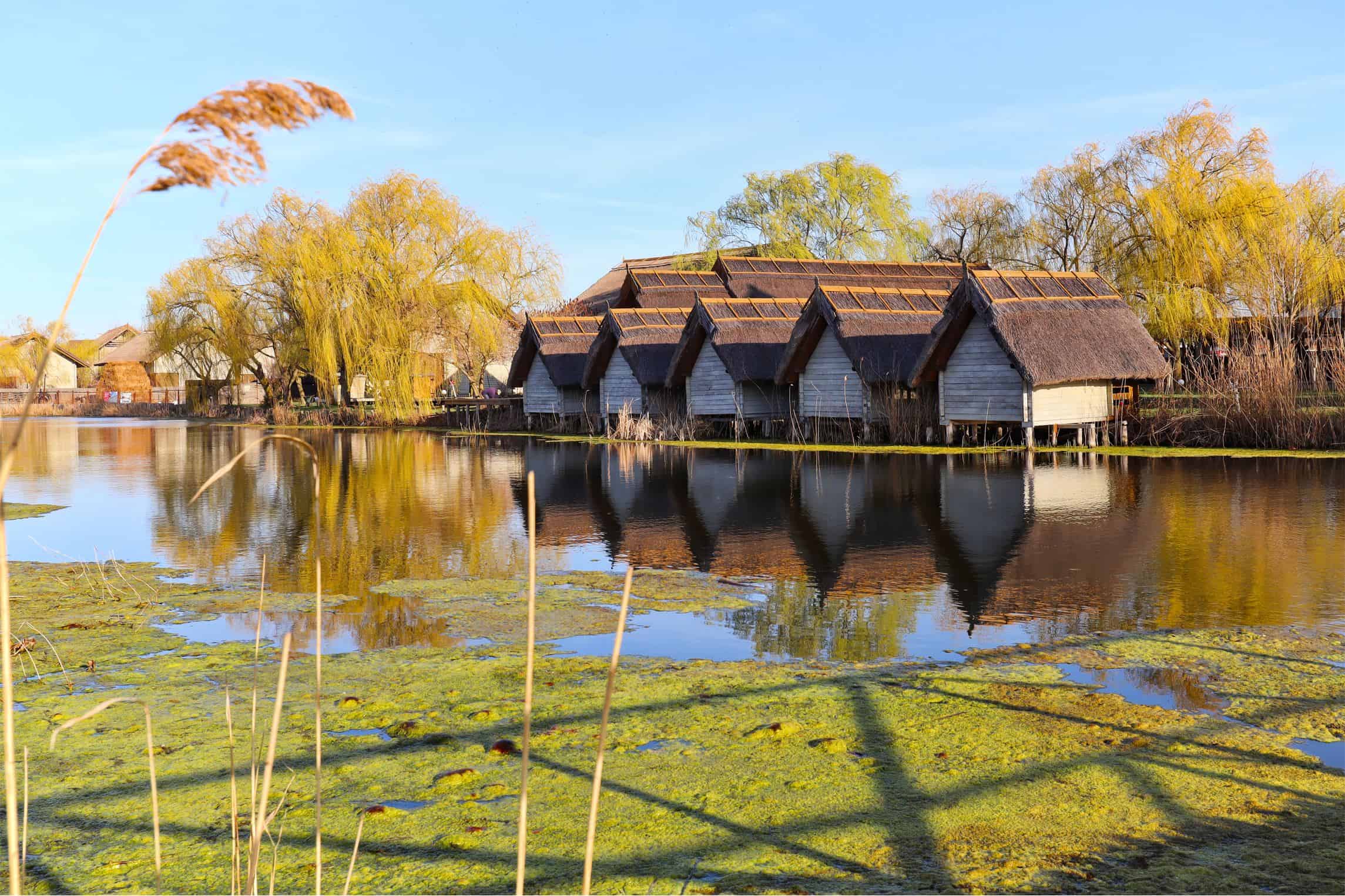 green village resort locuri de vizitat in delta dunarii sfantu gheorghe