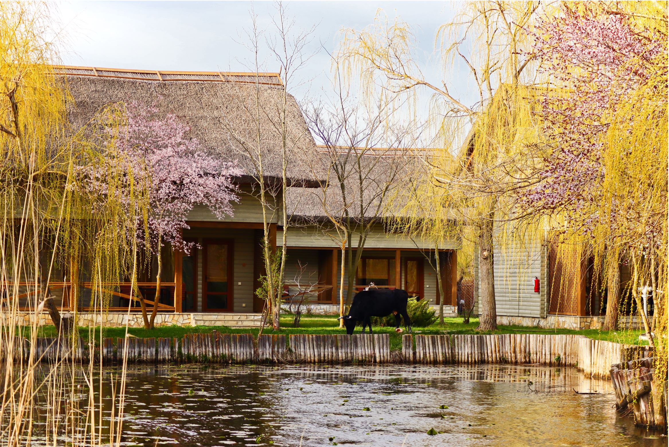 green village resort locuri de vizitat in delta dunarii sfantu gheorghe