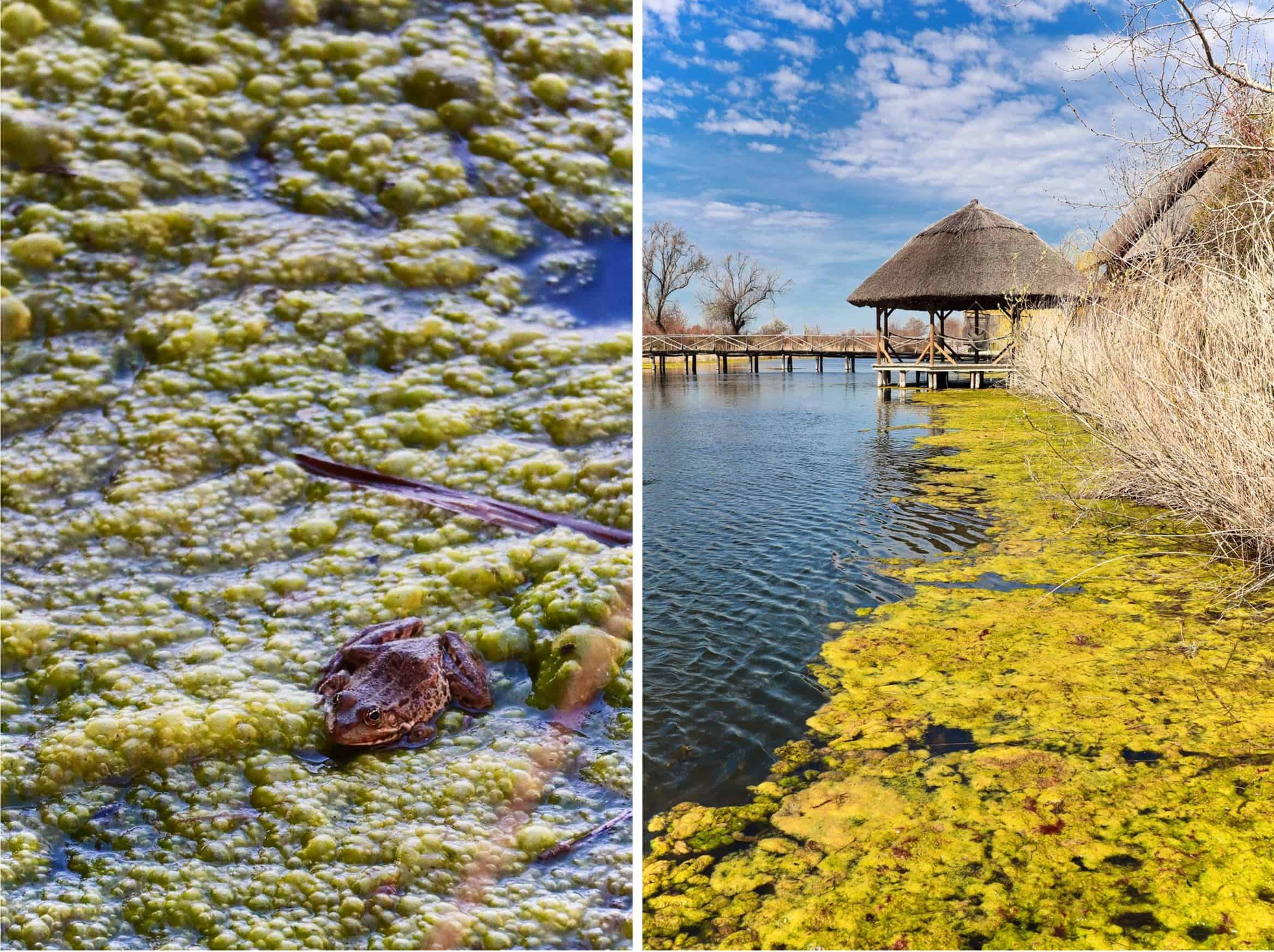 green village resort obiective turistice delta dunarii