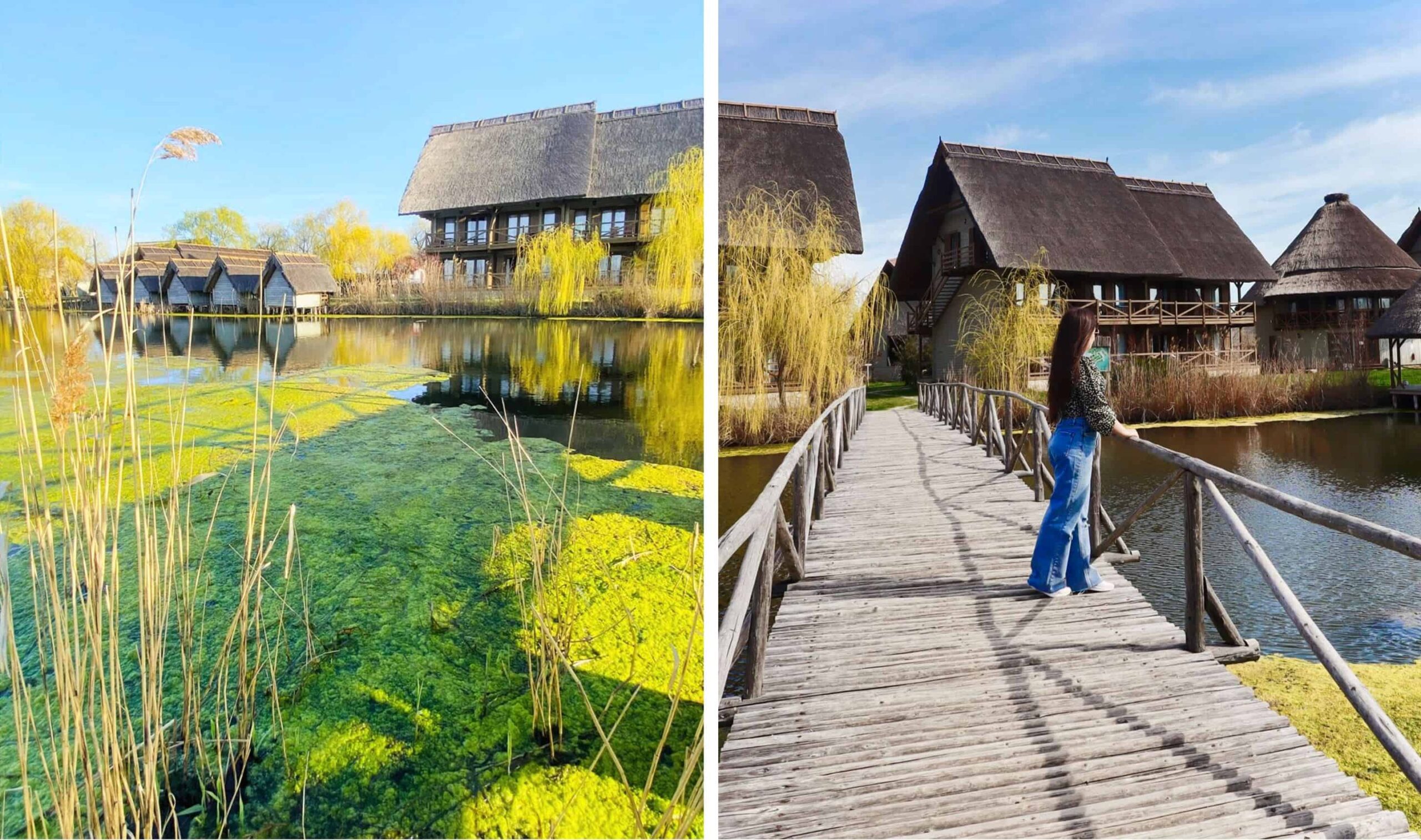 green village resort locuri de vizitat in delta dunarii sfantu gheorghe