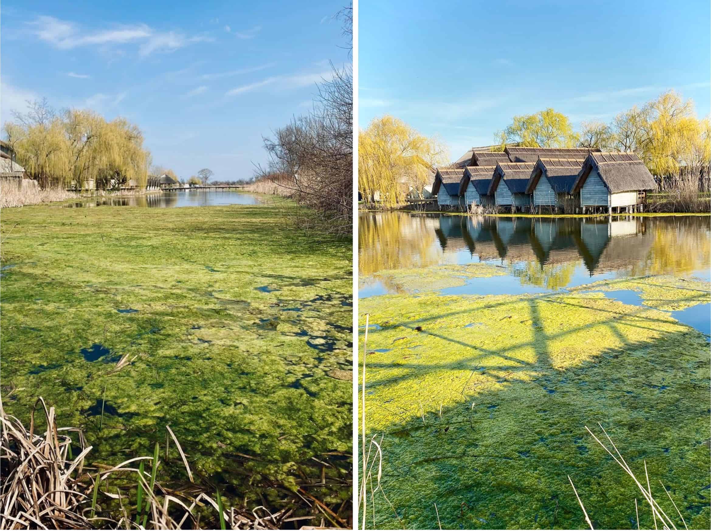 green village resort locuri de vizitat in delta dunarii sfantu gheorghe