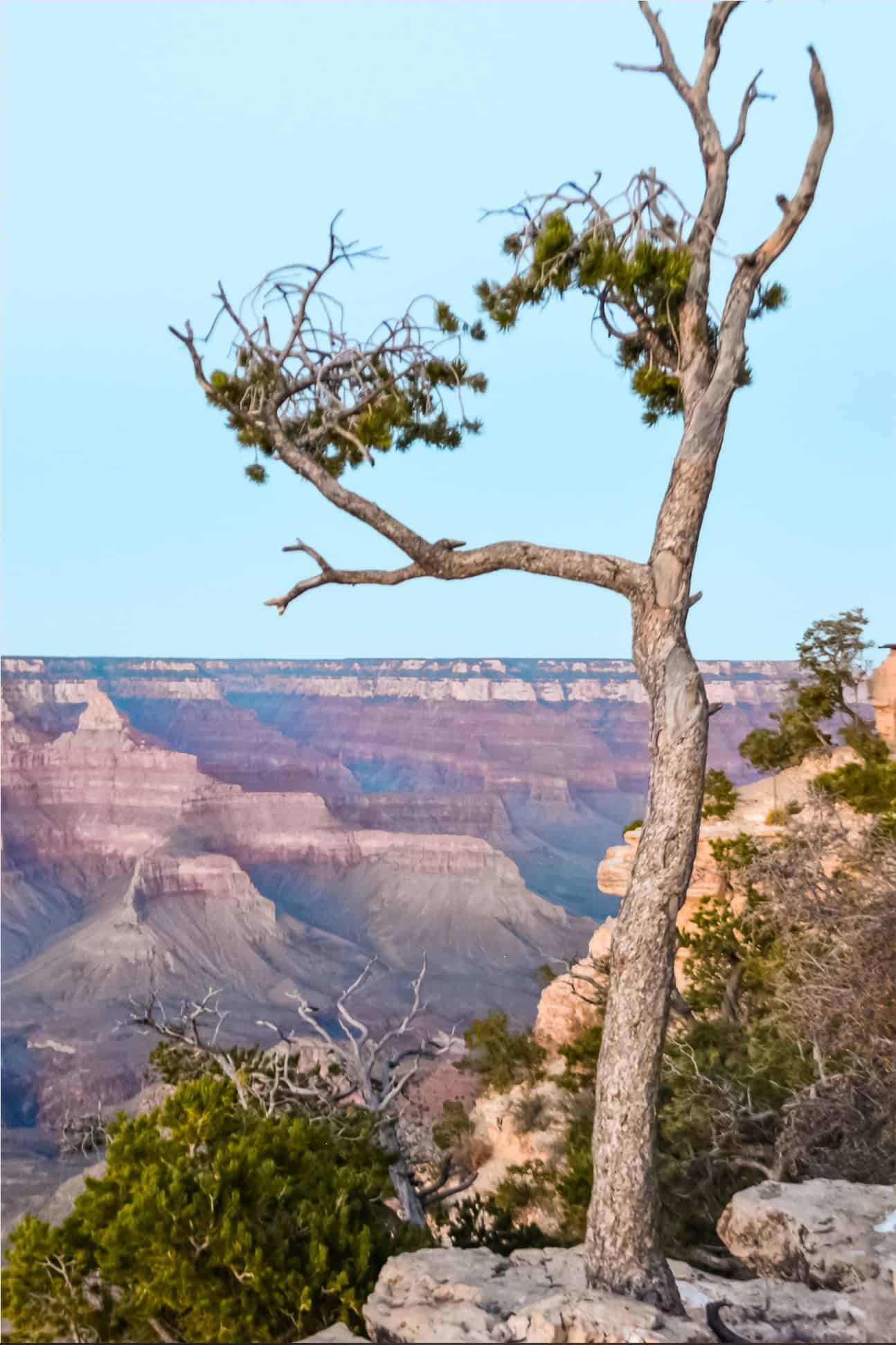 USA WEST COAST itinerary | 2 weeks west coast itinerary