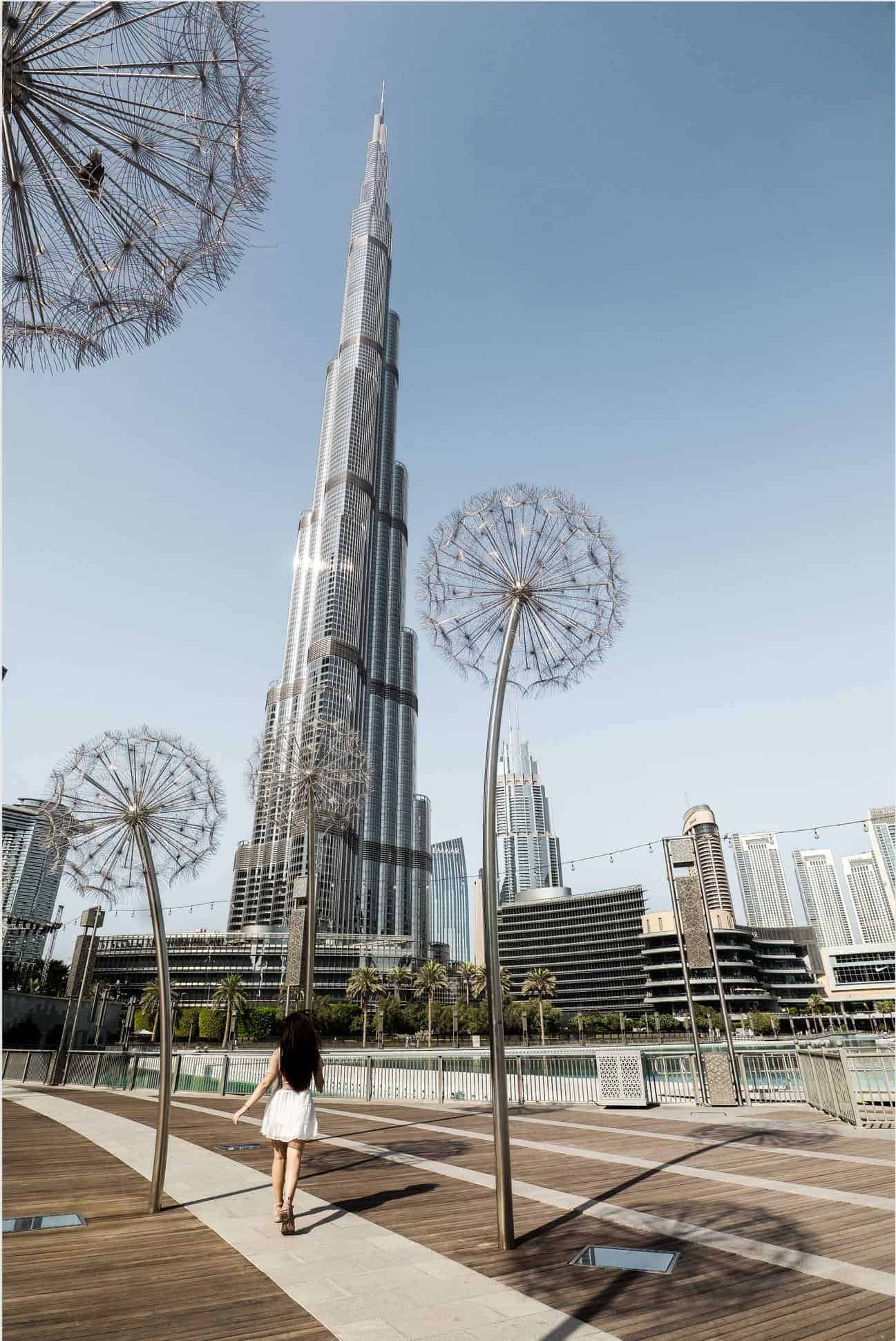 best tours in dubai | dubai day tours