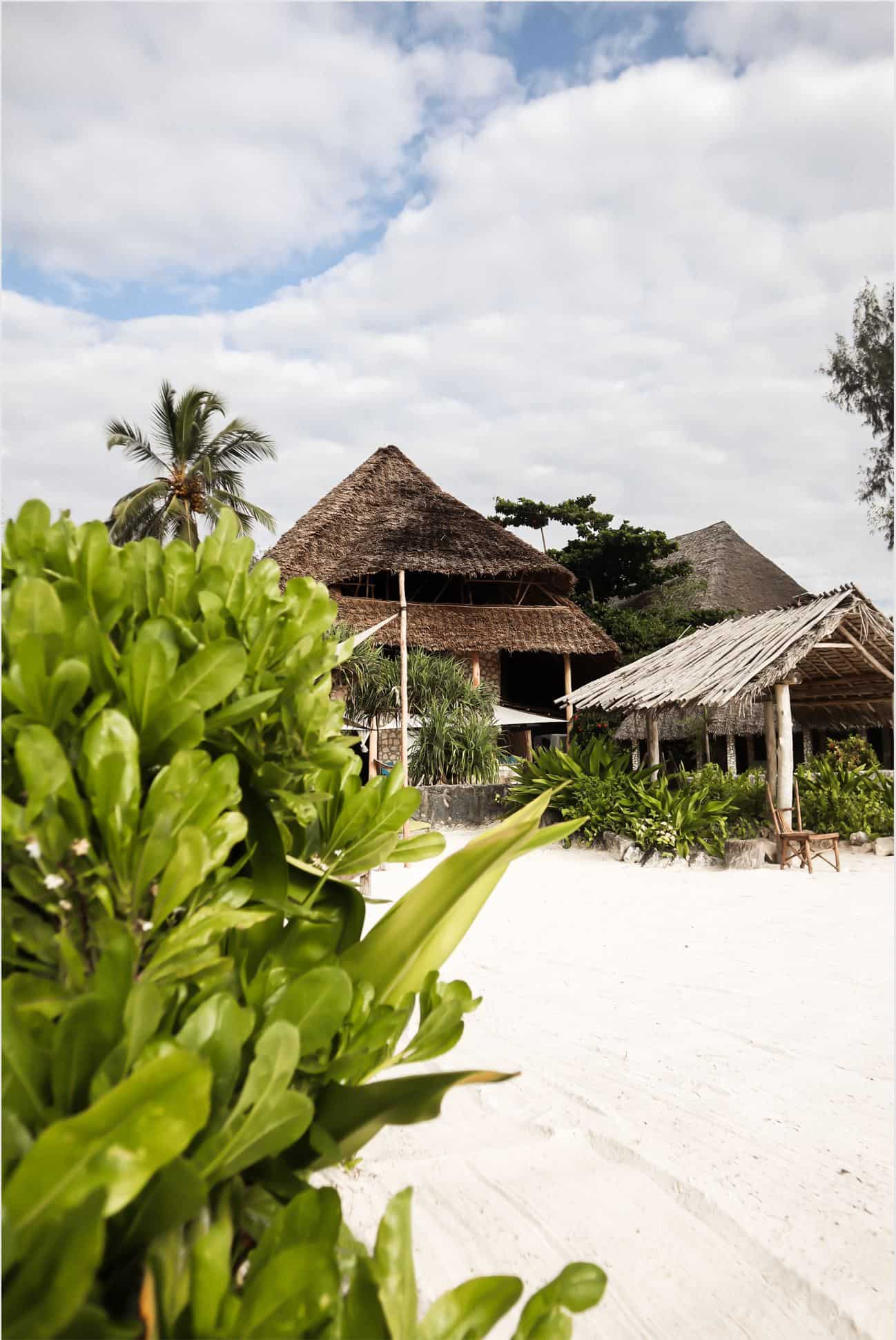 best time to visit zanzibar | best time of year to visit zanzibar best time to visit zanzibar | best time of year to visit zanzibar