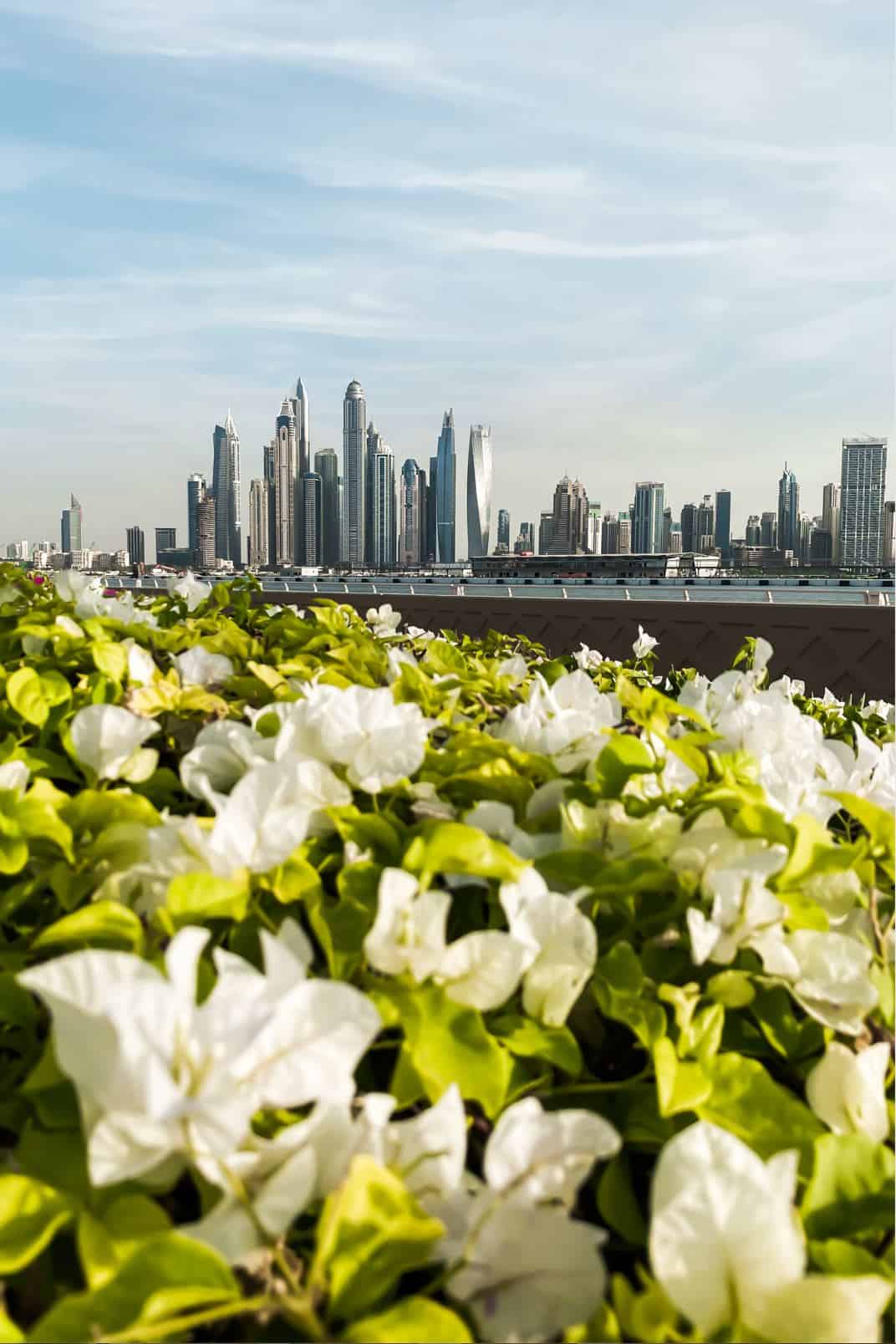 Palm Island Corniche | Best views of Dubai Dubai skyline - dubai views