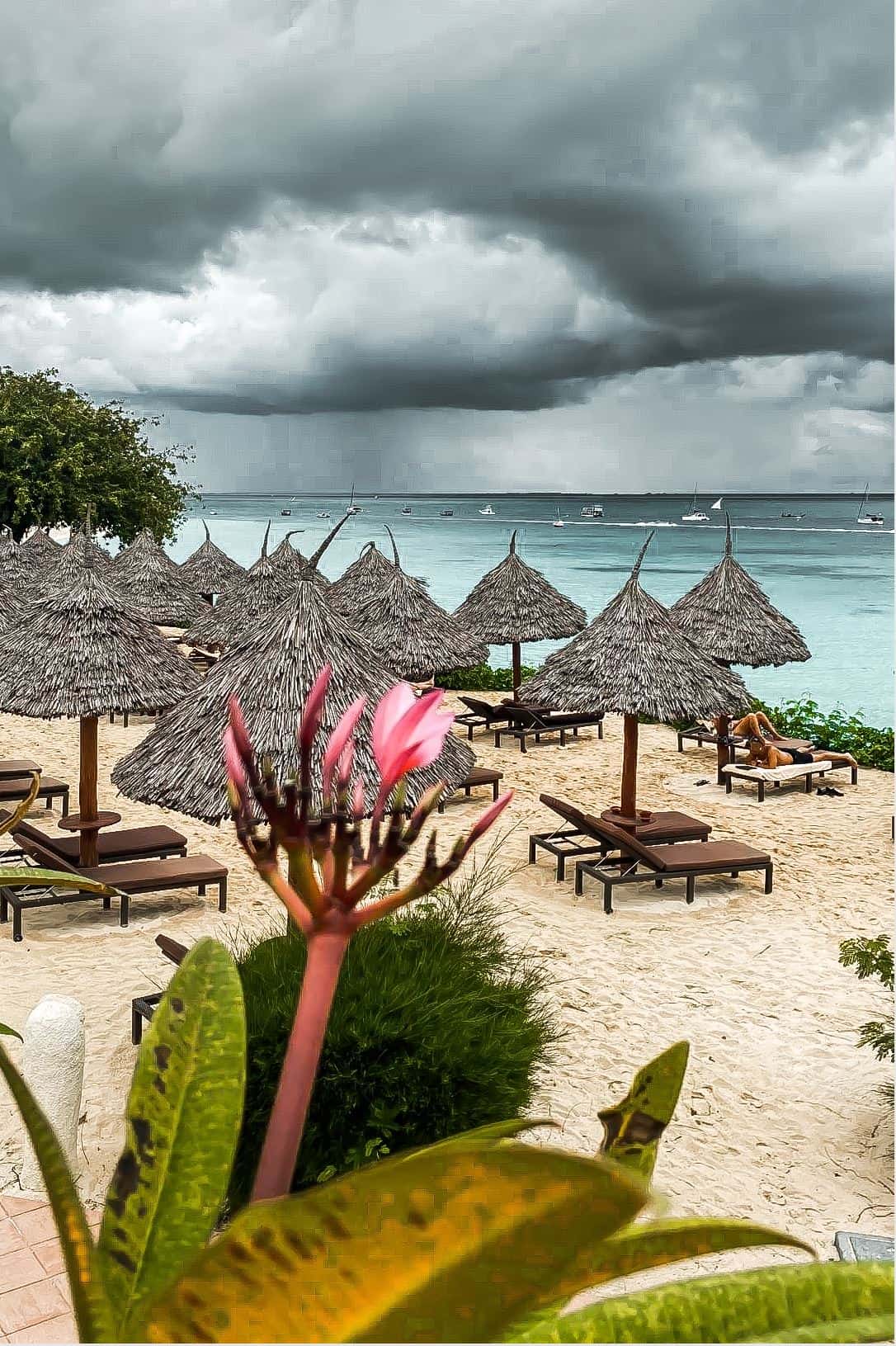 hotel riu palace zanzibar review | riu hotel zanzibar tanzania