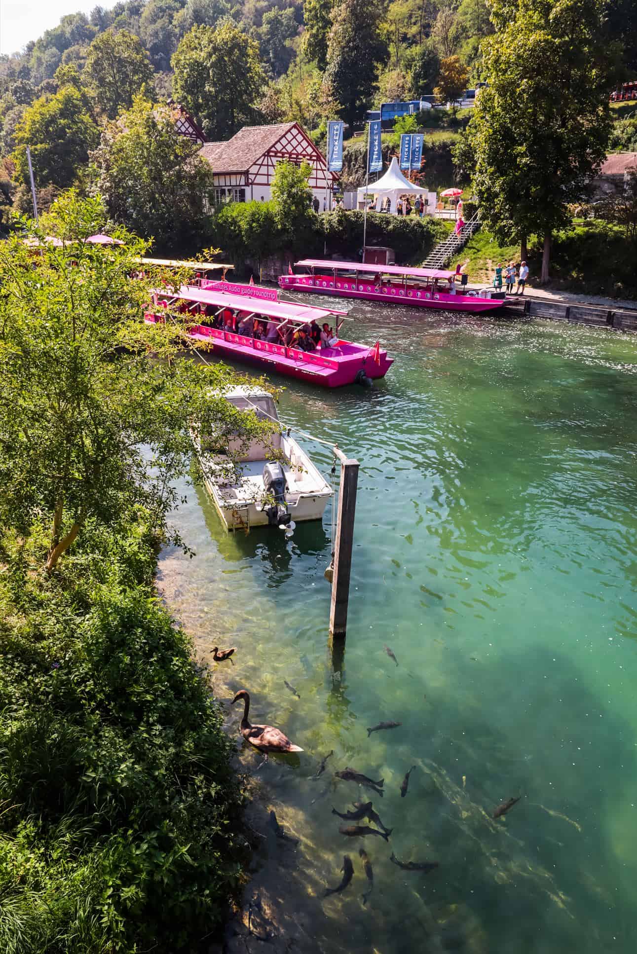 rhine falls switzerland | one day at rhine falls | rhine falls travel guide
