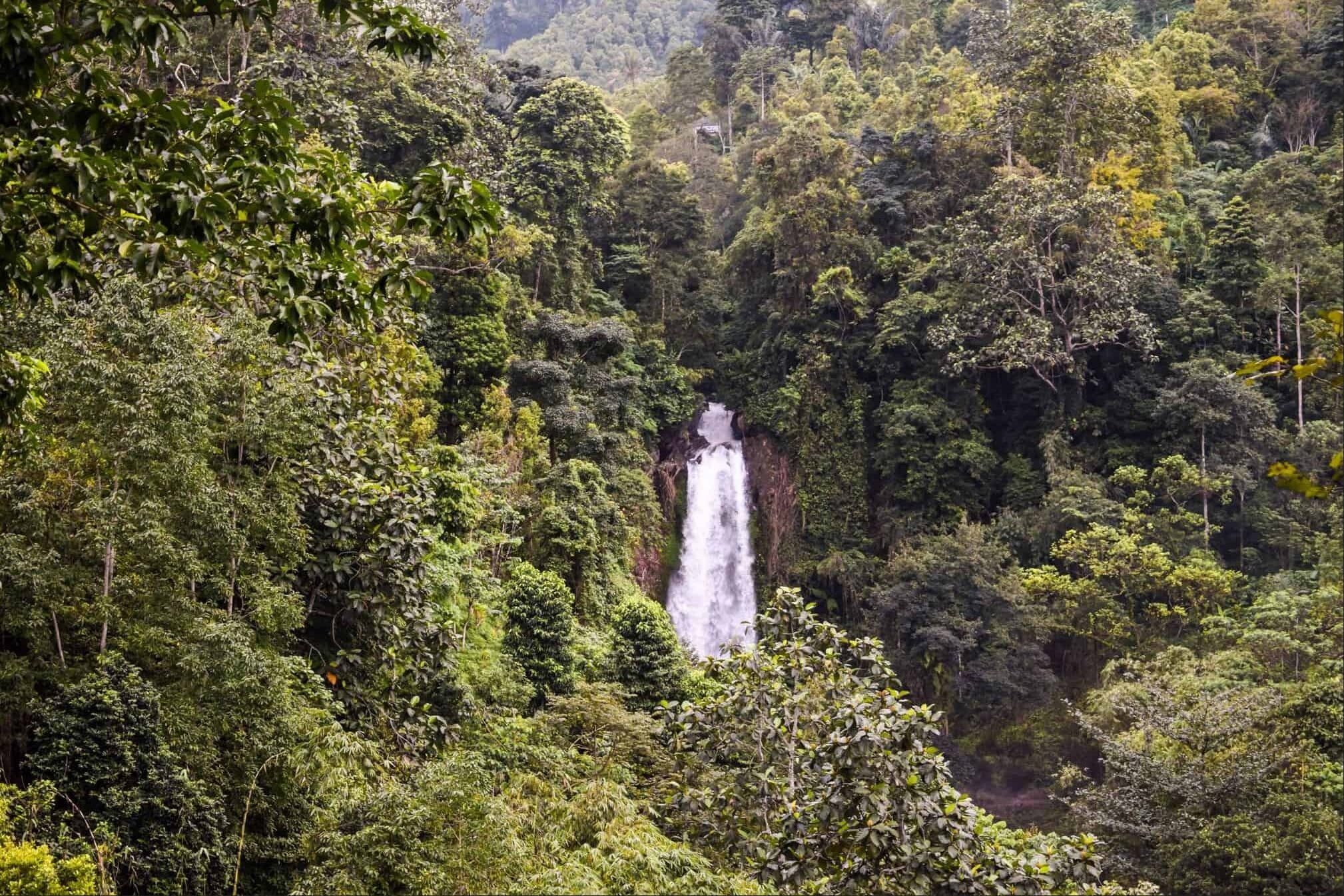 cascade in Bali | cascade in Ubud | cele mai frumoase cascade pe insula Bali cascade in Bali | cascade in Ubud | cele mai frumoase cascade pe insula Bali