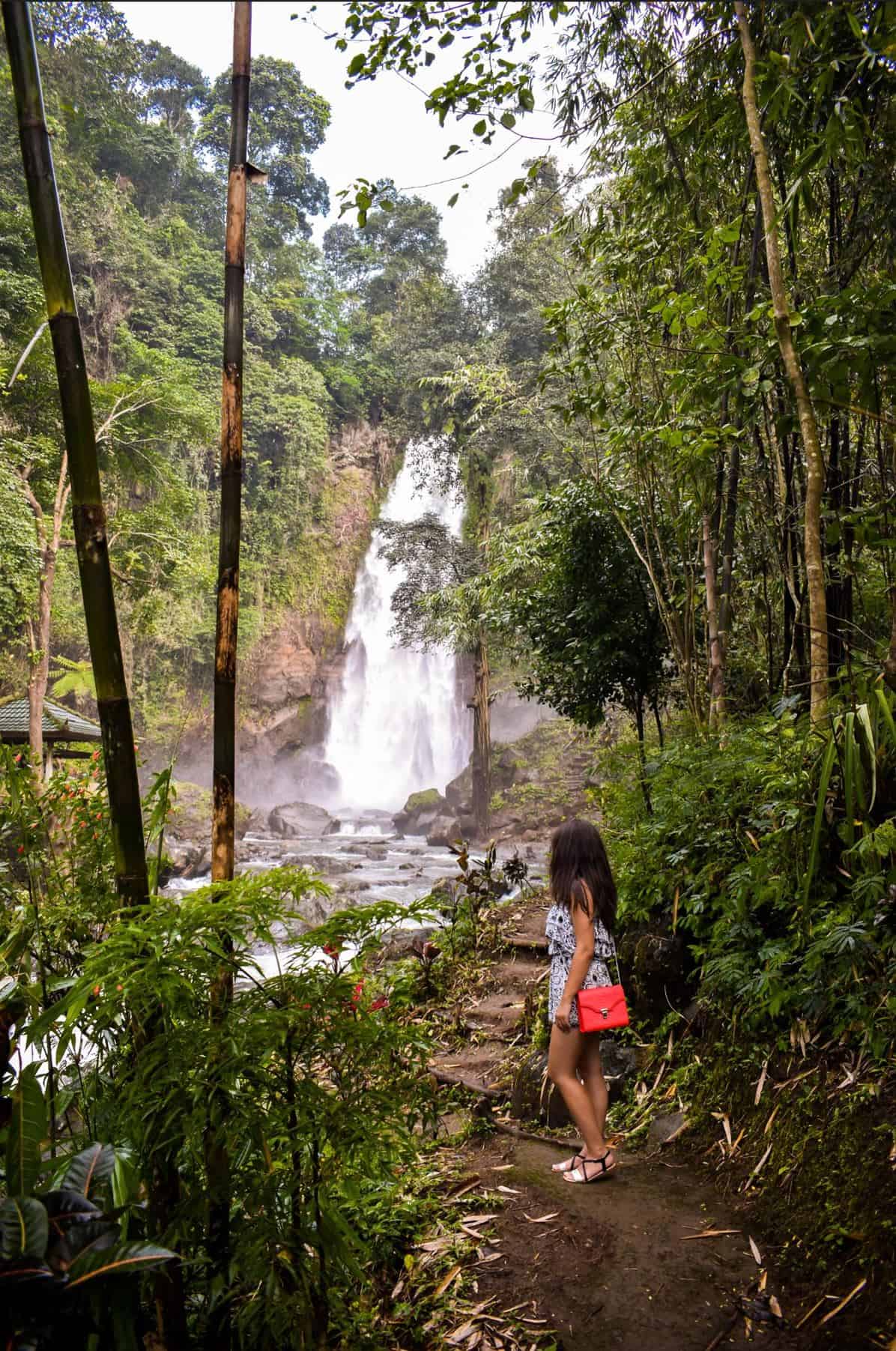 ubud waterfalls | waterfalls in ubud | waterfall near ubud | waterfalls in bali | gitgit waterfall bali
