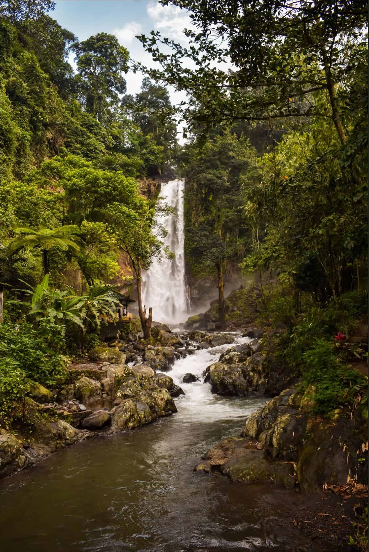 ubud waterfalls | waterfalls in ubud | waterfall near ubud | waterfalls in bali | gitgit waterfall bali