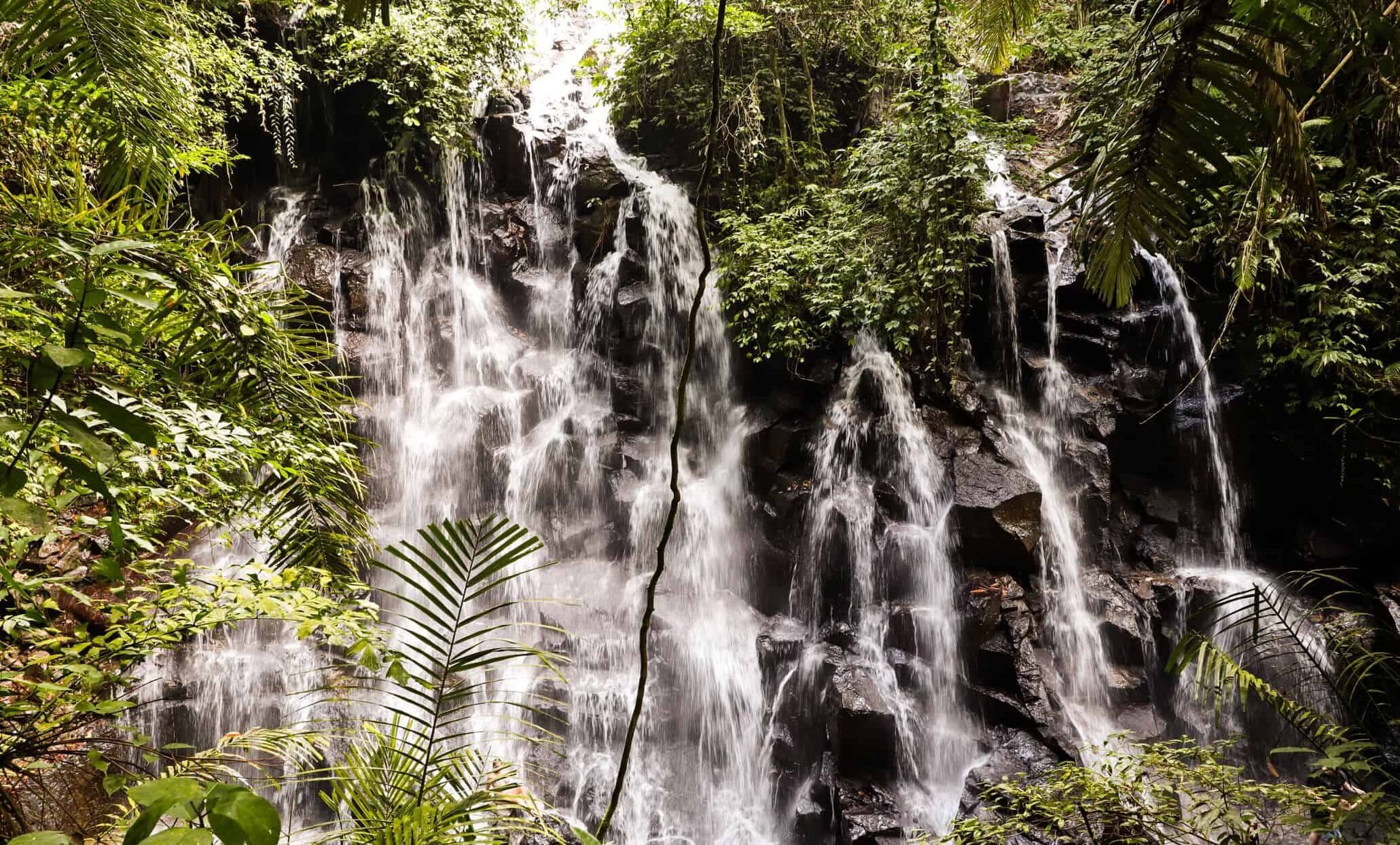 cascade in Bali | cascade in Ubud | cele mai frumoase cascade pe insula Bali cascade in Bali | cascade in Ubud | cele mai frumoase cascade pe insula Bali