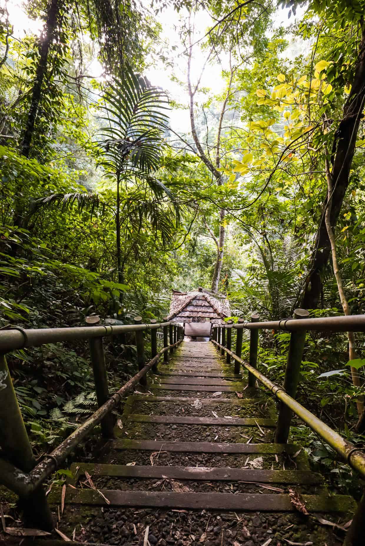 ubud waterfalls | waterfalls in ubud | waterfall near ubud | waterfalls in bali | nungnung waterfall bali