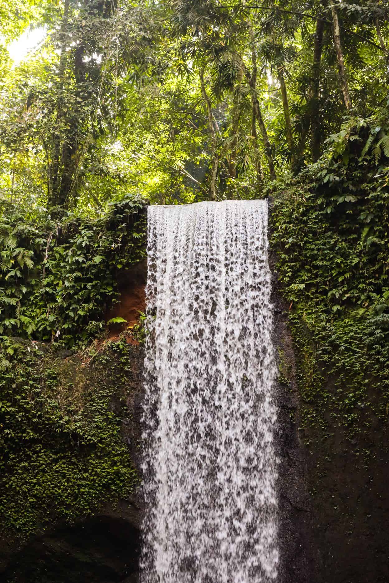 cascade in Bali | cascade in Ubud | cele mai frumoase cascade pe insula Bali cascade in Bali | cascade in Ubud | cele mai frumoase cascade pe insula Bali