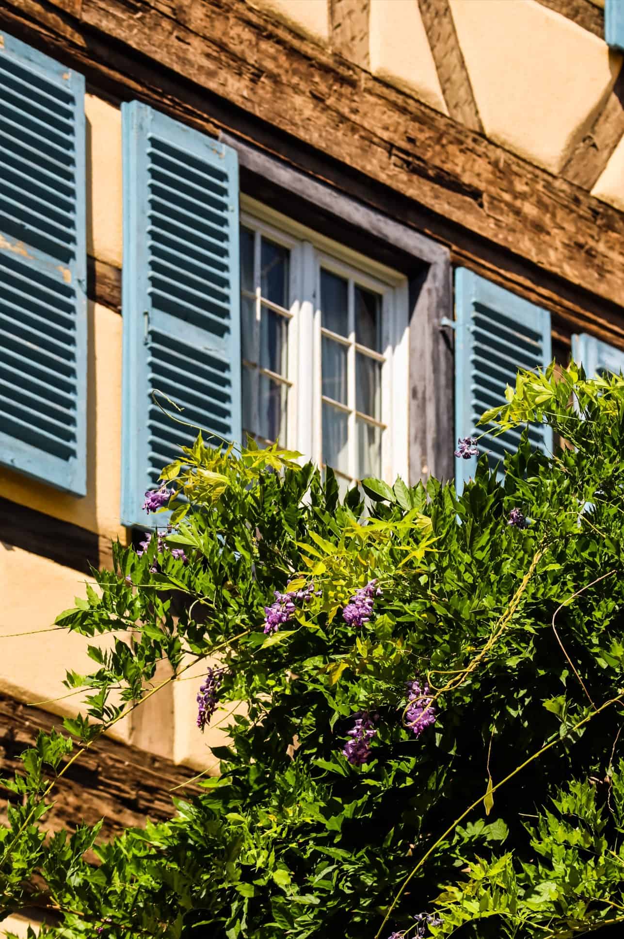 2 days in colmar | colmar weekend trip | best things to do in colmar | colmar attractions