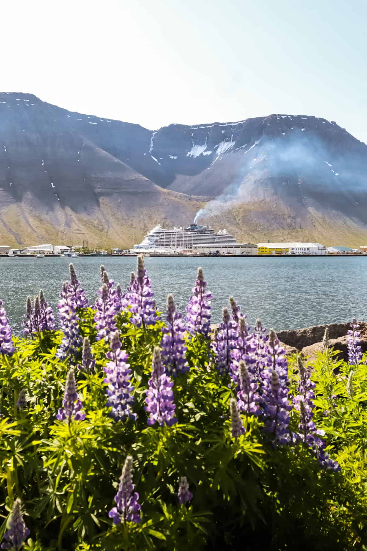 Large cruise ship Norwegian Prima seen from a distance | Isafjordur town and mountains in the background