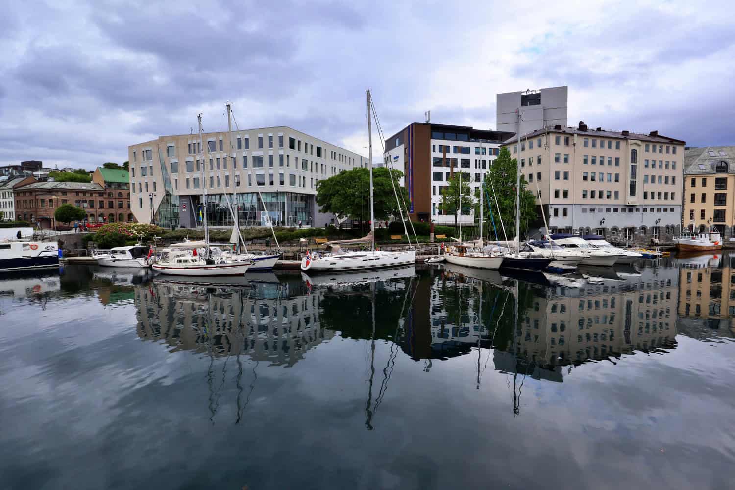 alesund norway | things to do in alesund norway | alesund aquarium | penguins in alesund norway