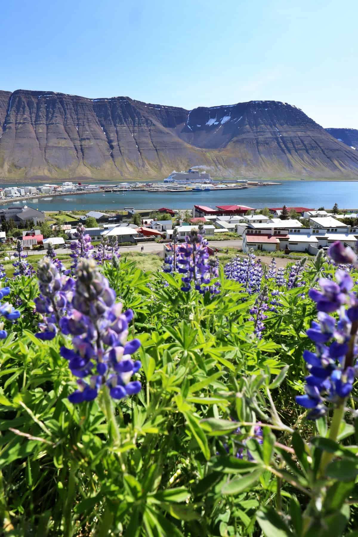 One day in Isafjordur, Iceland | Places to visit in Isafjordur | Isafjordur itinerary | What to do in Isafjordur from cruise ship | Best things to do in Isafjordur, Iceland